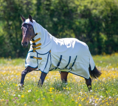 Shires Highlander Plus Sweet-Itch Combo Rug (RRP Â£74.99)